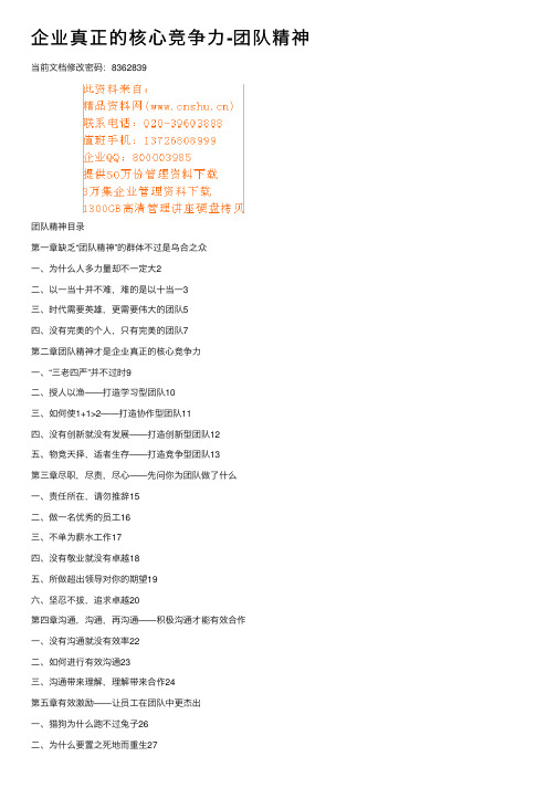 企业真正的核心竞争力-团队精神