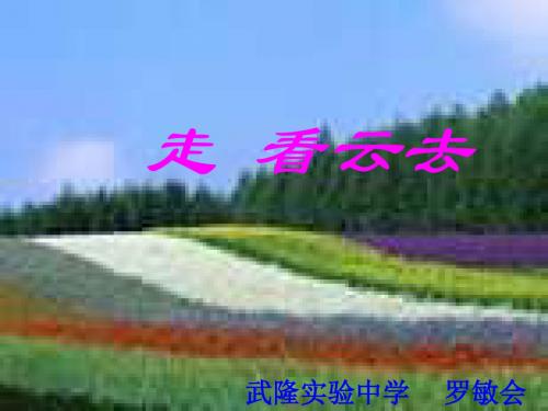 八年级语文走看云去(中学课件2019)
