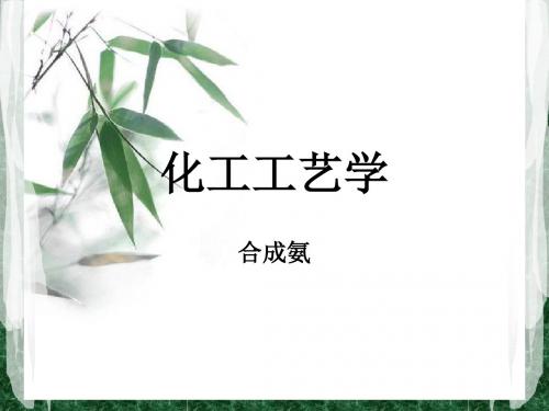 化工工艺学第三章合成氨讲解