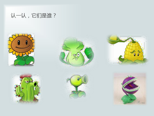 教科版教材《多种多样的植物》上课课件1
