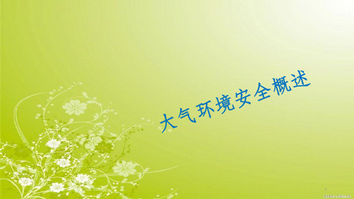 大气环境安全概述(PPT 38页)