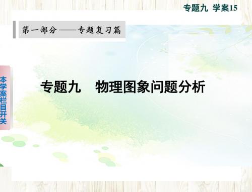 2019高考物理(浙江专用)专题复习篇： 物理图像问题分析