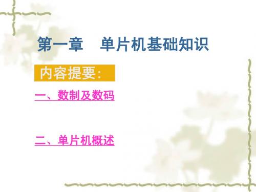 8051单片机_课件_概述