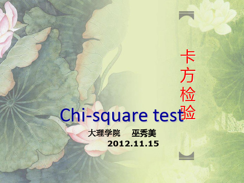 卡方检验 PPT课件