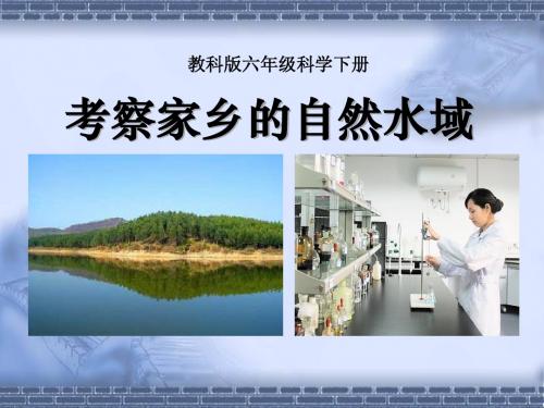 《考察家乡的自然水域》环境和我们PPT优秀教学课件4