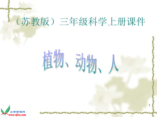 6苏教版小学科学三年级上册《植物动物人》 (1)PPT课件