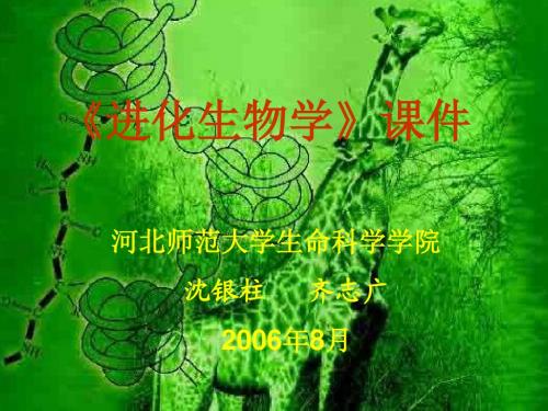 第1章  绪 论