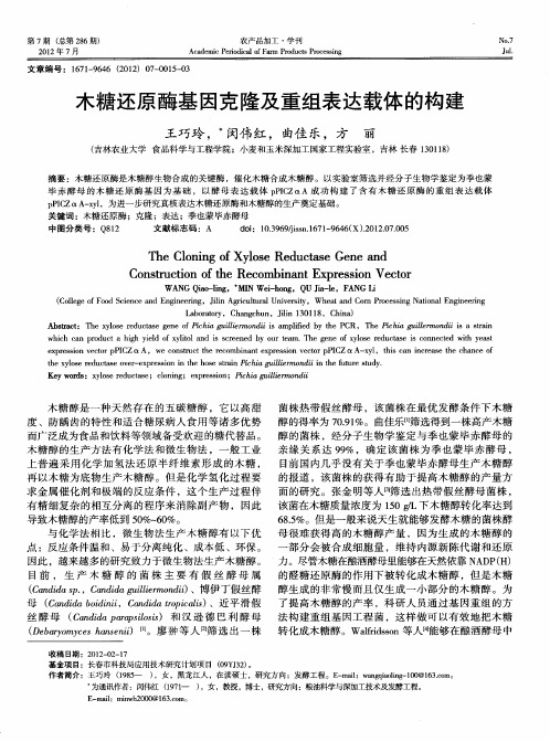 木糖还原酶基因克隆及重组表达载体的构建