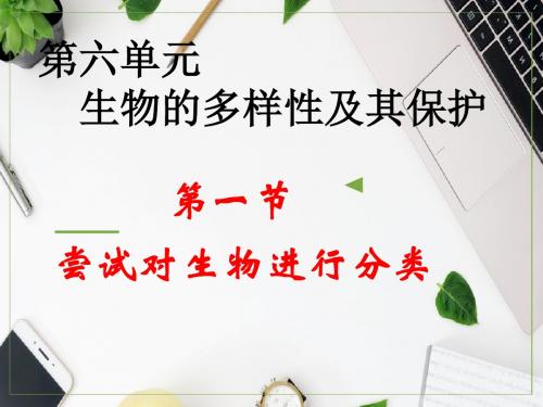 人教版八年级生物上册 6.1.1尝试对生物进行分类课件(共26张PPT)