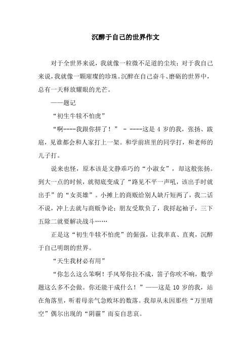沉醉于自己的世界作文