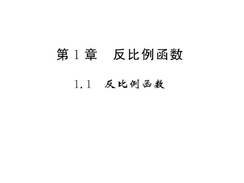 秋湘教版九年级数学上册习题课件：1.1反比例函数 (共11张PPT)