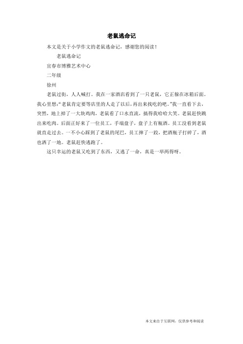 老鼠逃命记_小学作文