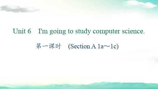 八年级英语上册(云南地区)课件-第一课时 (Section A 1a～1c)(6)