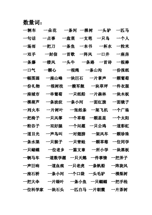 数量词1