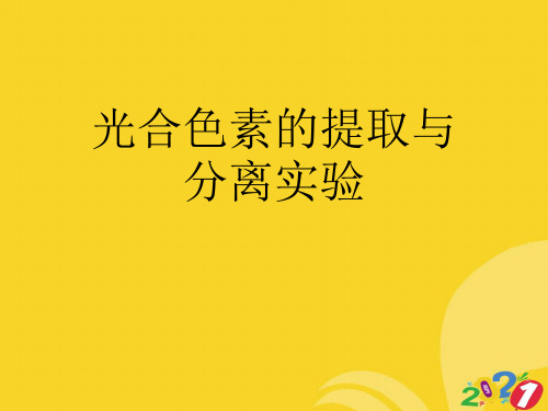 光合色素的提取与分离实验专业资料