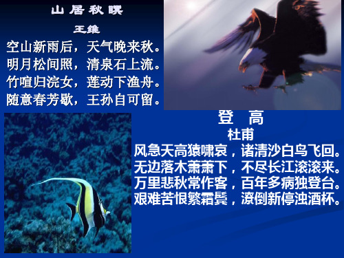 高中语文-《故都的秋》