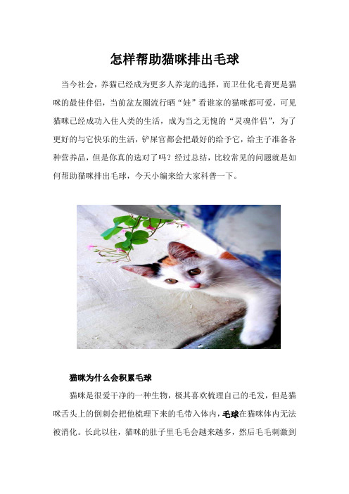 怎样帮助猫咪排出毛球