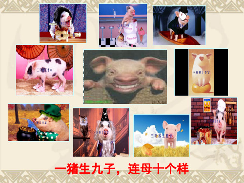 5.2自然地理环境的差异性(共39张PPT)[优秀课件资料]
