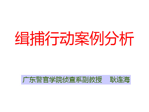 抓捕行动案例分析 PPT课件