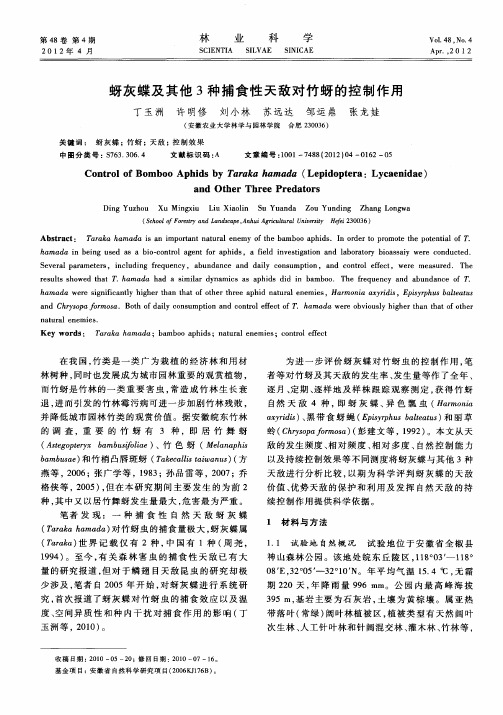 蚜灰蝶及其他3种捕食性天敌对竹蚜的控制作用