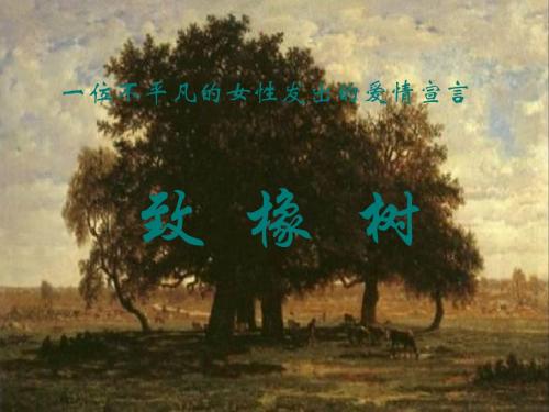《致橡树》PPT课件