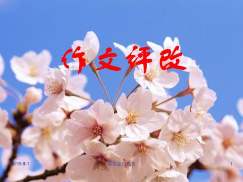 作文评改.ppt