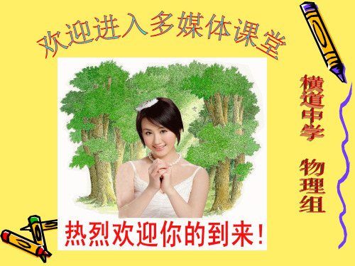 九年物理期末总复习专项训练(作图题)