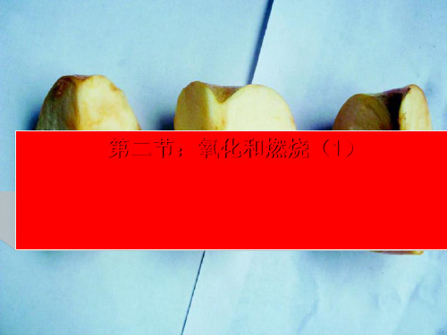 浙教版八年级科学下册3.2氧化和燃烧1课件