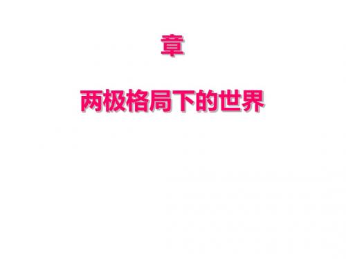 两极格局下的世界PPT课件3