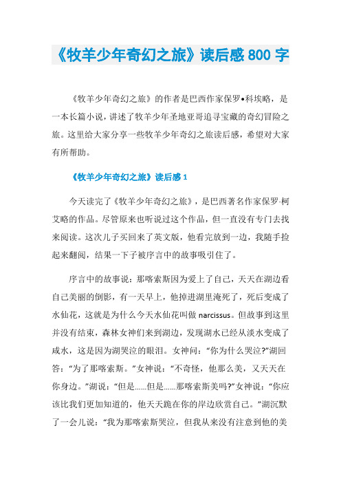 《牧羊少年奇幻之旅》读后感800字