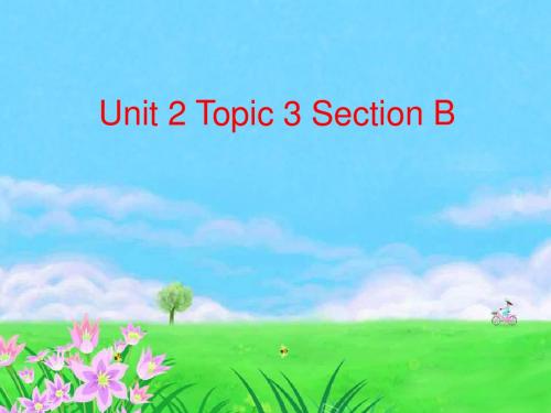 仁爱九年级英语Unit 2 Topic 3 Section B