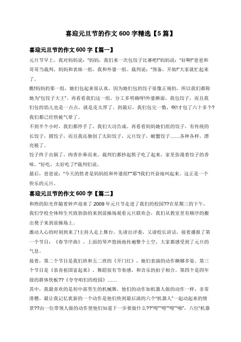 喜迎元旦节的作文600字精选【5篇】