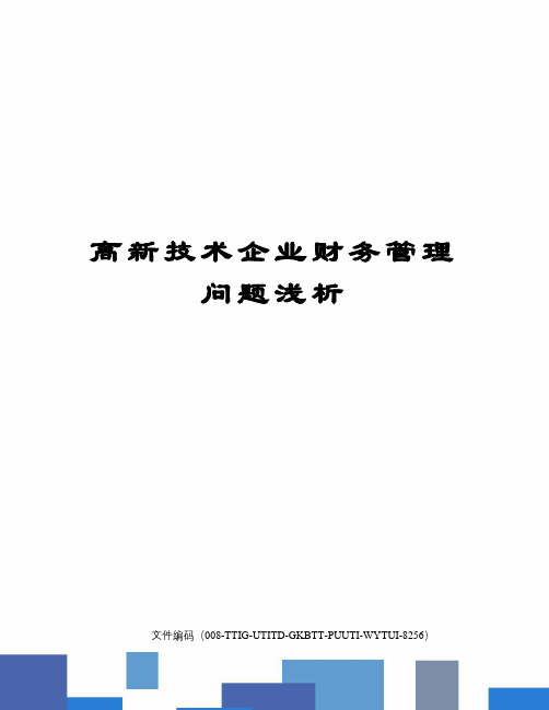 高新技术企业财务管理问题浅析精编版