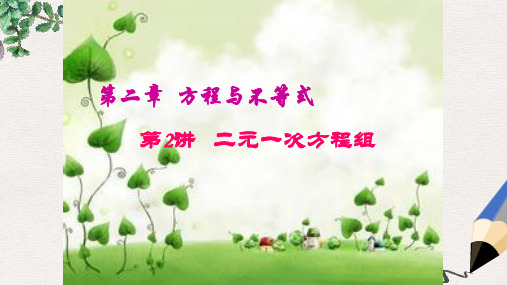 广东省中山市2017届中考数学复习 第二章 方程与不等式 第2讲 二元一次方程组课件