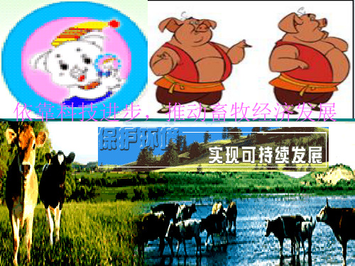 动物消化系统精品PPT课件