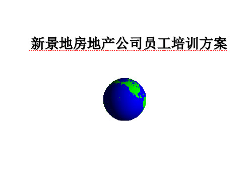新世界房地产公司员工培训方案