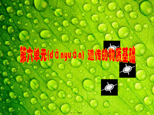 高三生物一轮复习 考能专项突破(六)课件 新人教版必修2