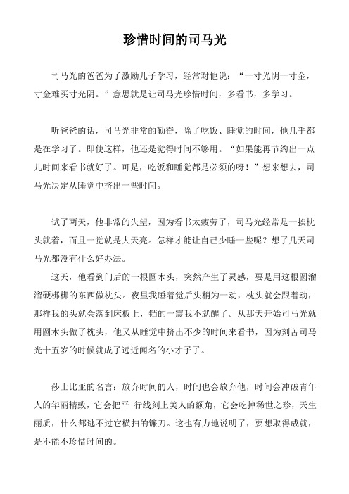 珍惜时间的司马光-故事