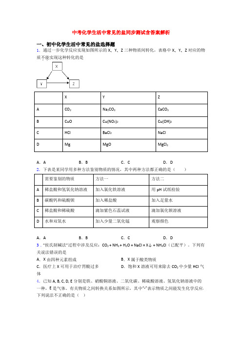 中考化学生活中常见的盐同步测试含答案解析