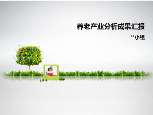 养老产业环境分析报告