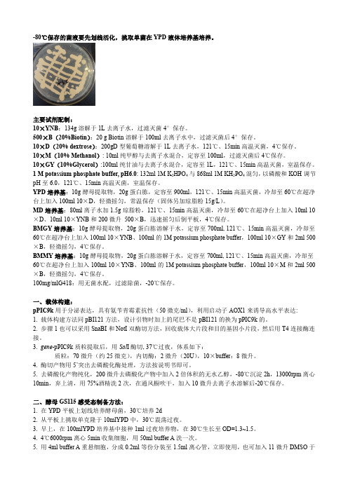 酵母转化--to 杜