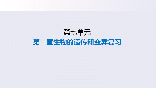 第二章生物的遗传和变异 复习课件2022-2023学年人教版生物八年级下册