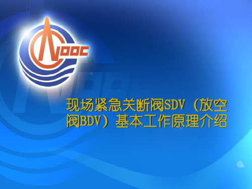 SDV BDV的基本原理