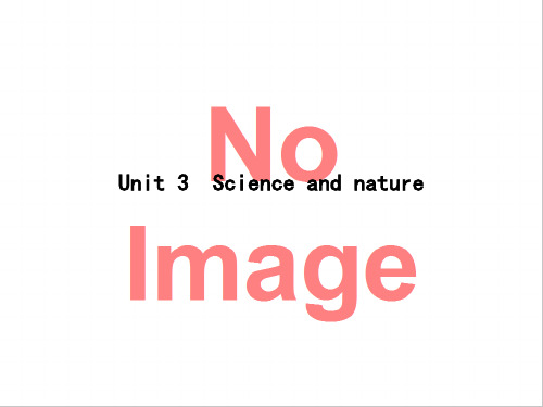 2020版导与练一轮译林英语课件第一部分 语言知识 必修5 Unit 3 Science and nature