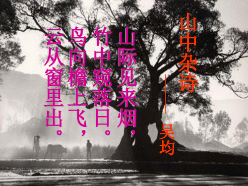 九年级语文下册 第6单元第22课《与朱元思书》课件 语文版