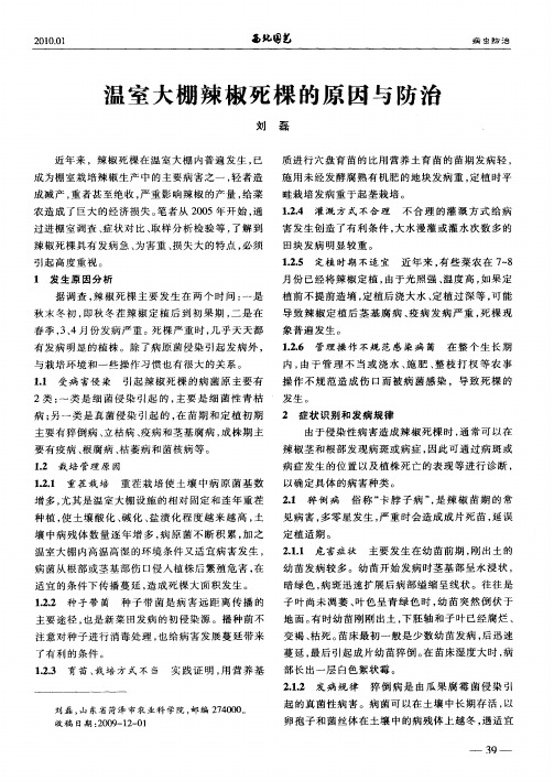 温室大棚辣椒死棵的原因与防治