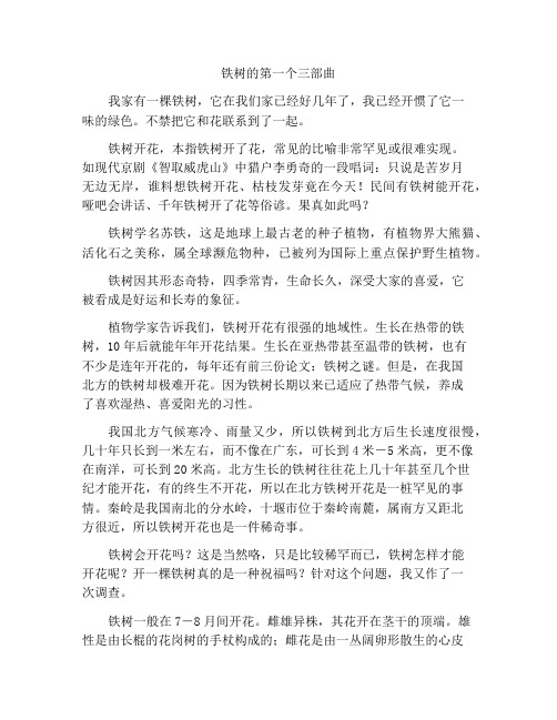 铁树之谜初三说明文作文