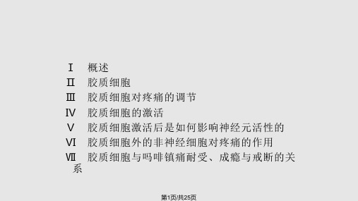 神经胶质细胞PPT课件