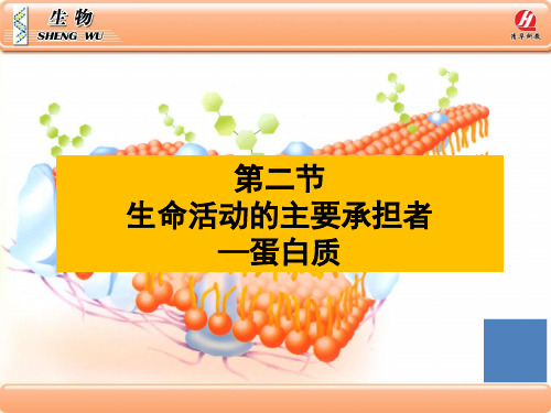 生物学①必修22《生命活动的主要承担者——蛋白质》PPT课件