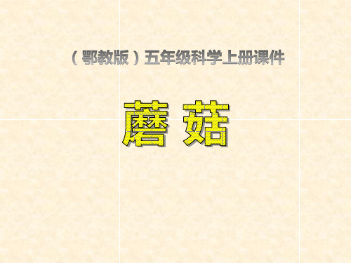 鄂教版五年级上册科学 《蘑菇》走进树林PPT课件 (2)